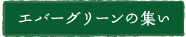 エバーグリーンの集い